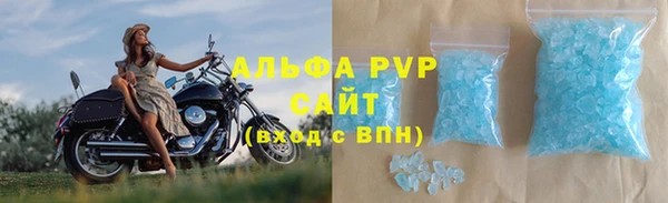 прущие грибы Лихославль