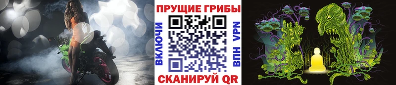 Псилоцибиновые грибы мухоморы  Купить закладки  Борисоглебск 